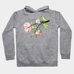 peony flowers.  watercolor Hoodie